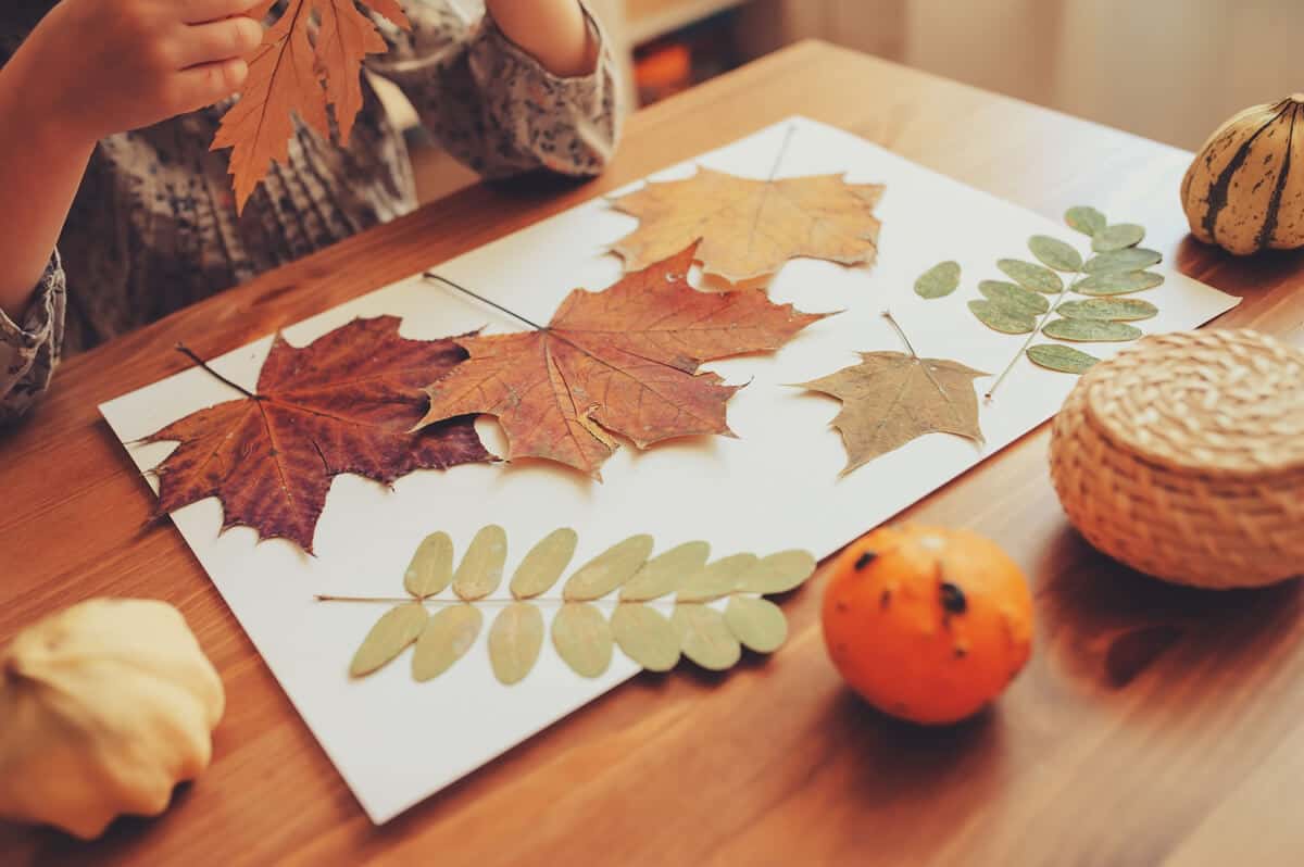 Crafting with Nature