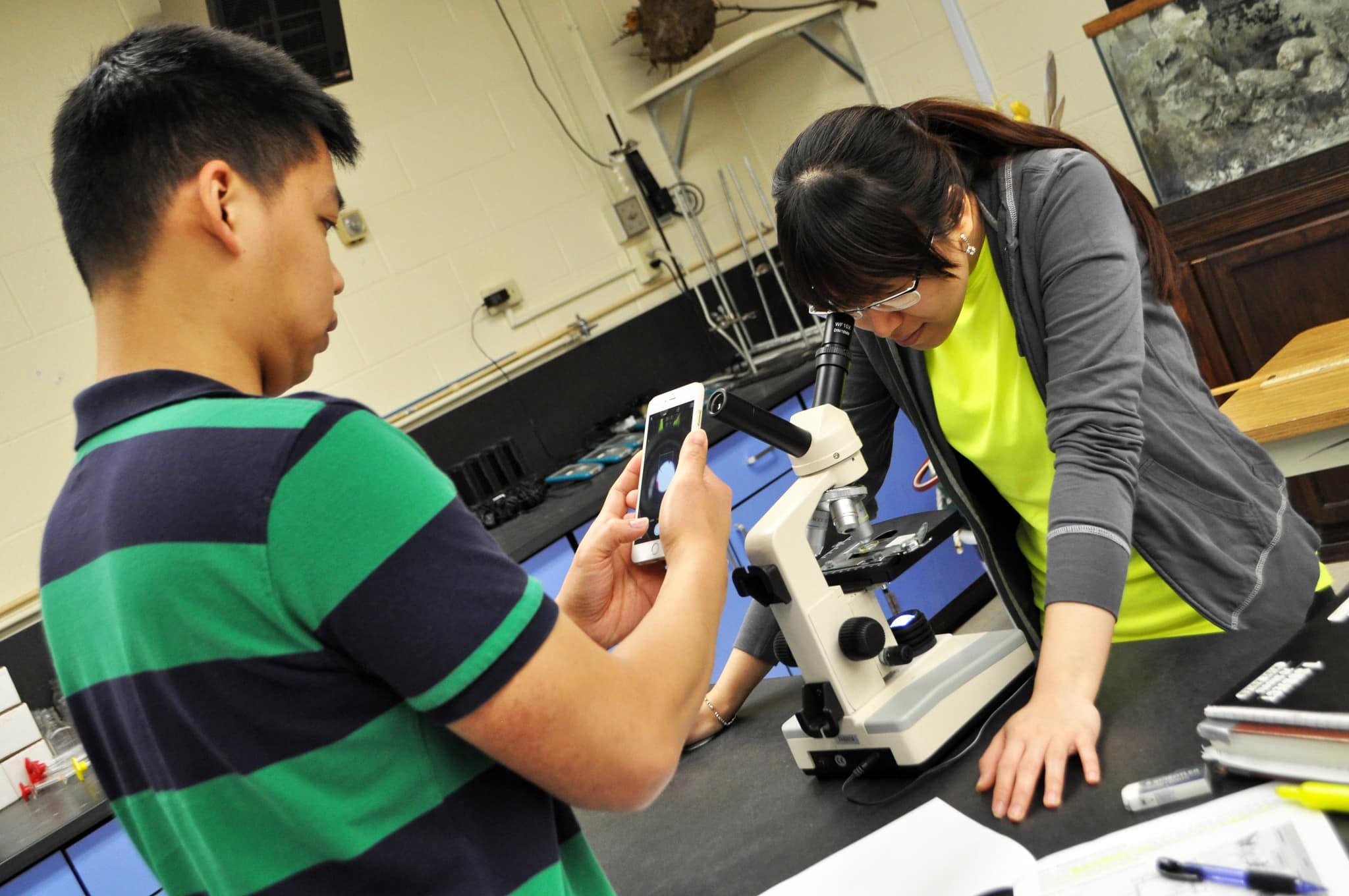 Students using a microscope