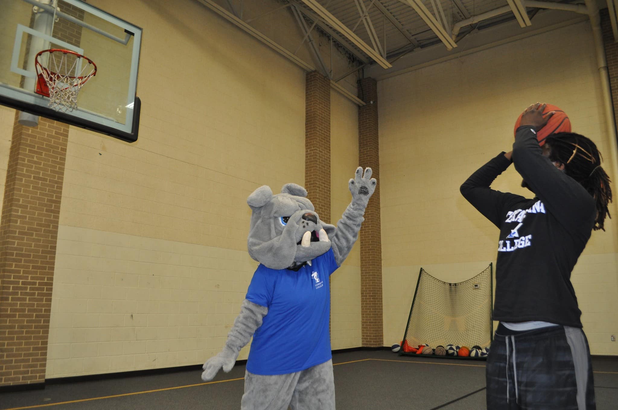 Bo the Bulldog catches some hoops on the basketball floor