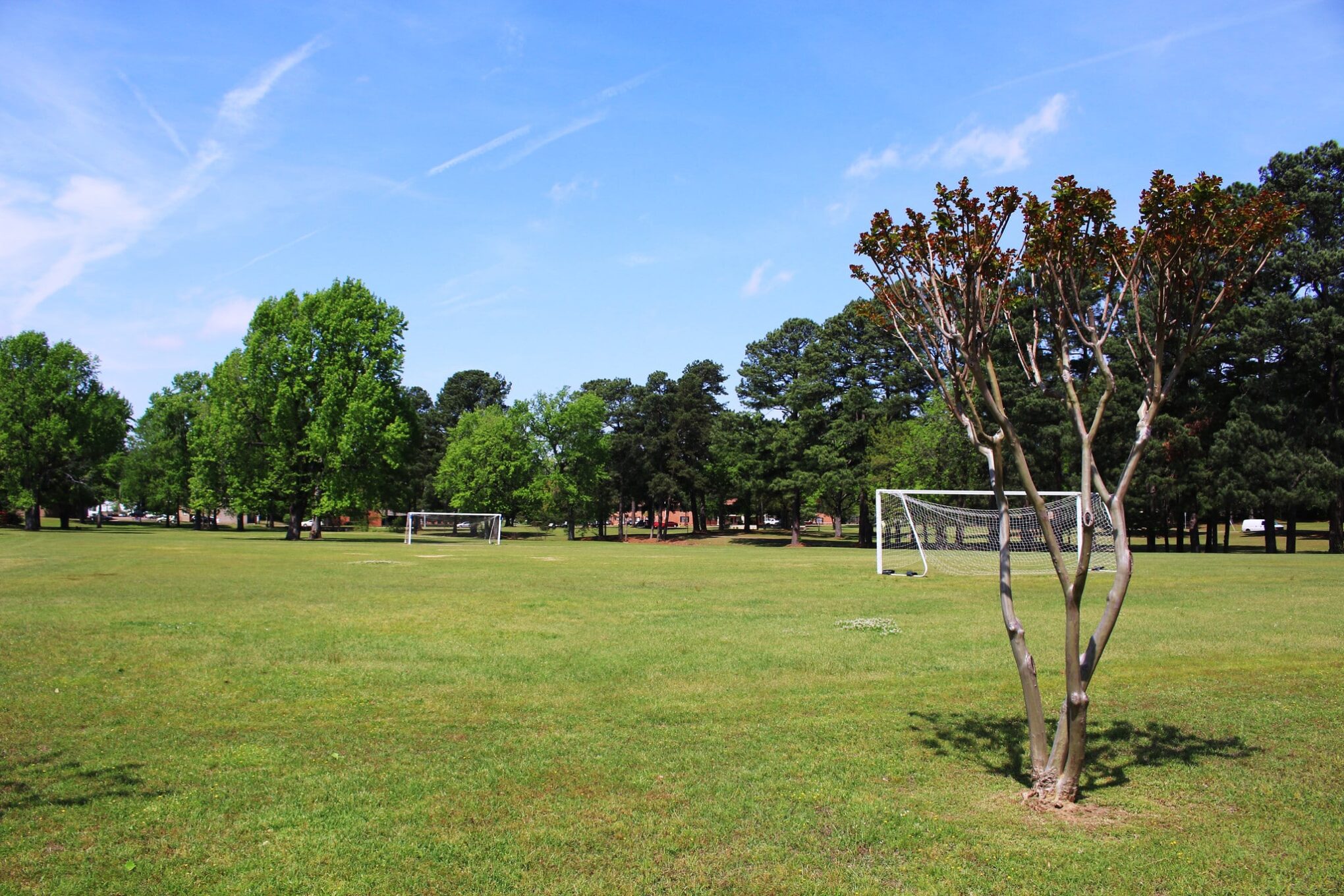 Soccer field