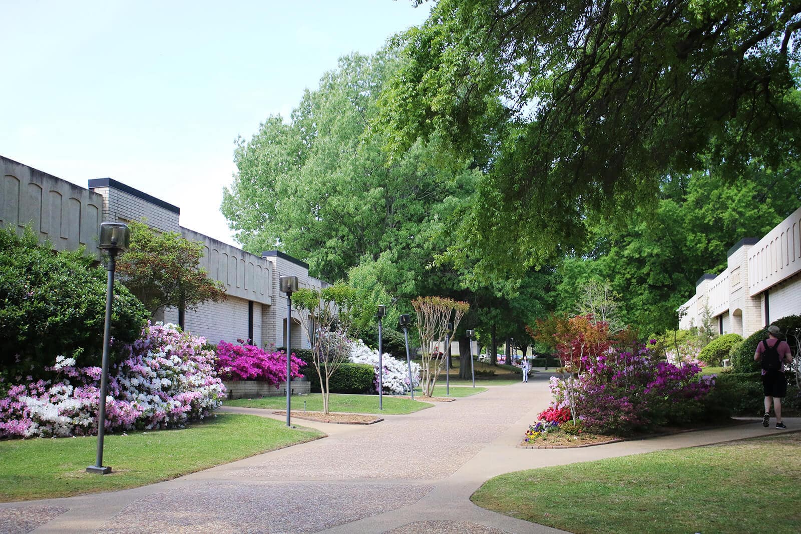 Campus in summer