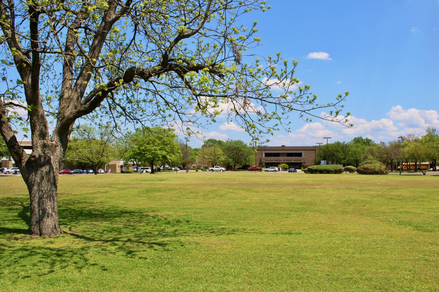 Texarkana College: Start or Start Over | A Texas Community College