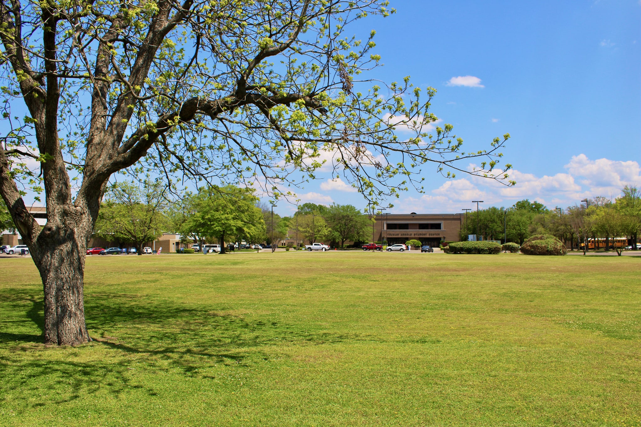 Campus lawn towards the Student Center