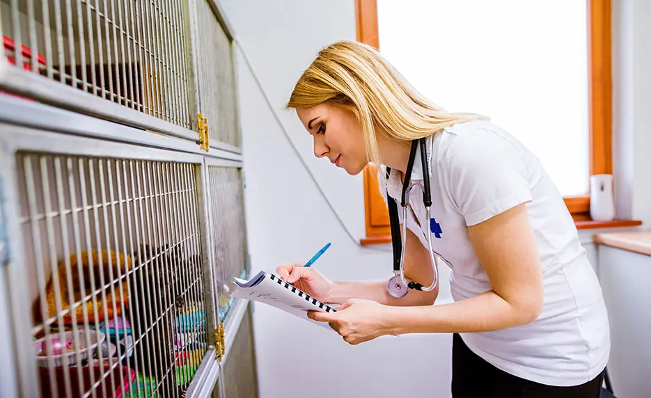 A veterinarian with a stethoscope takes notes on a clipboard while checking animals in cages at a clinic.